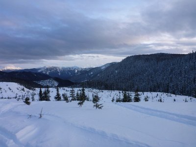 February 15, 2014 Silver Sands